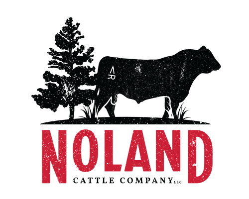 Noland Cattle Company Beef